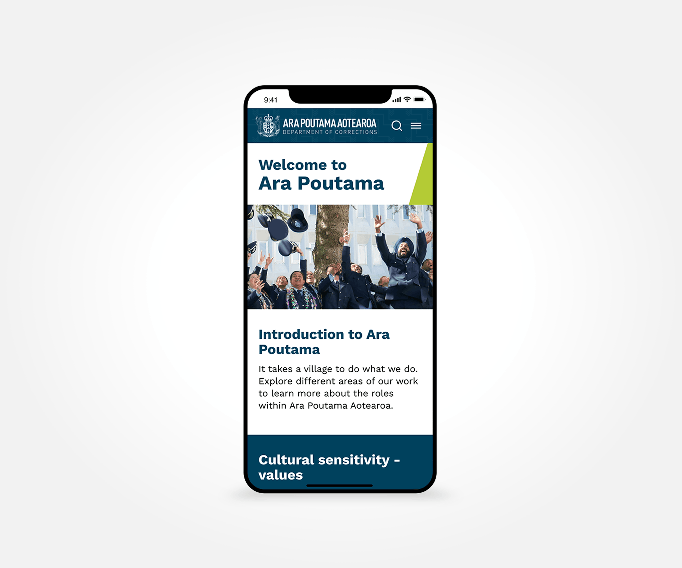 Corrections project visual 6