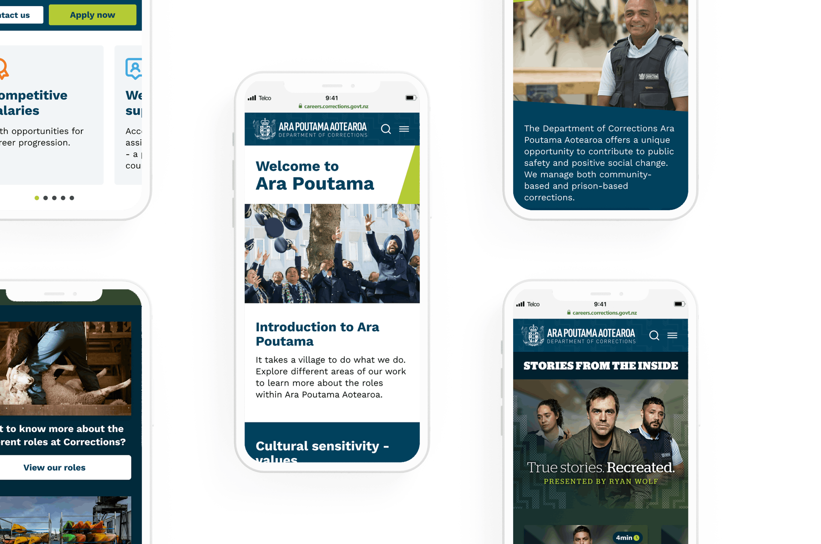 Corrections project visual 7