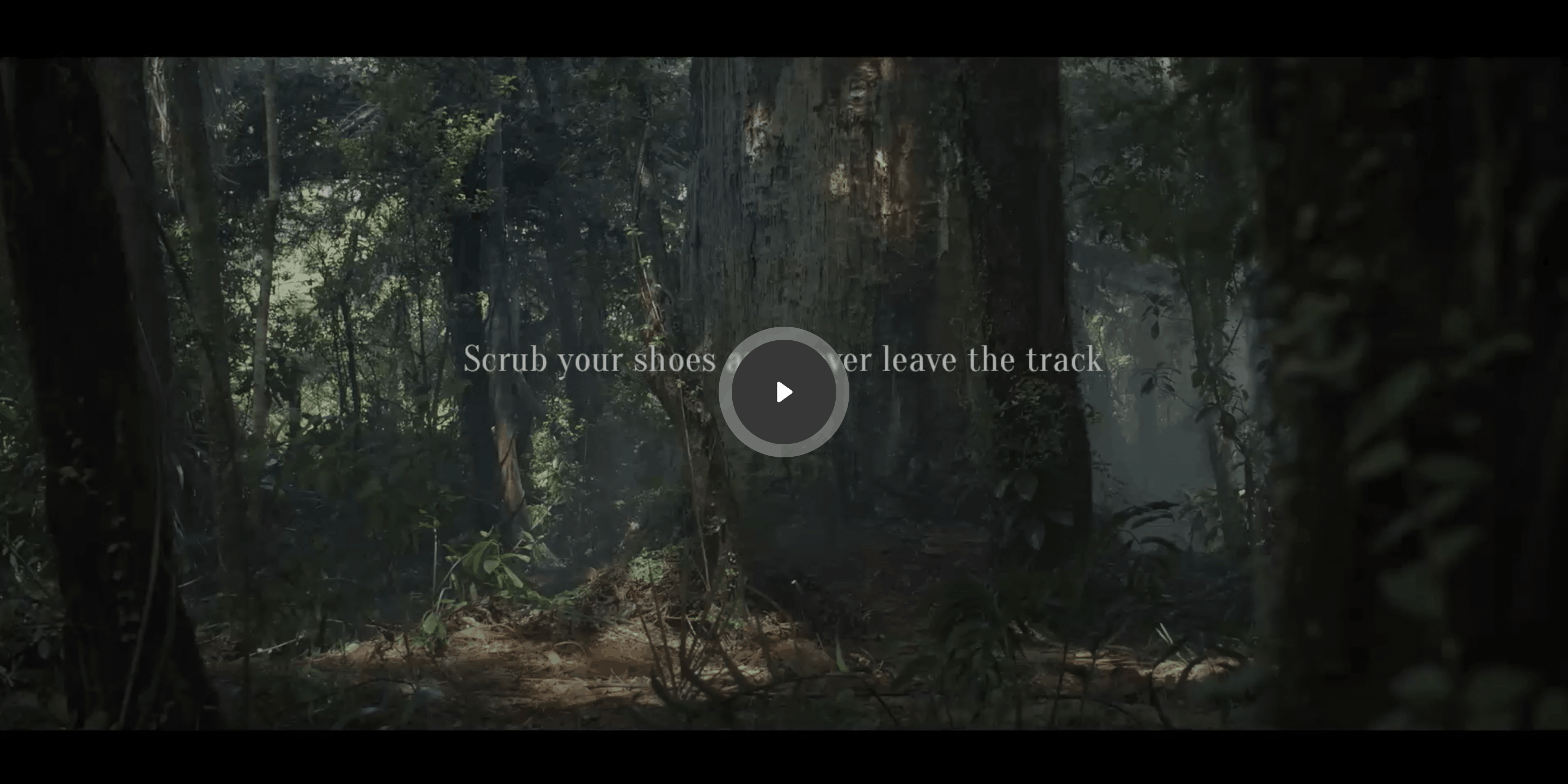 Play A Kauri Cries video