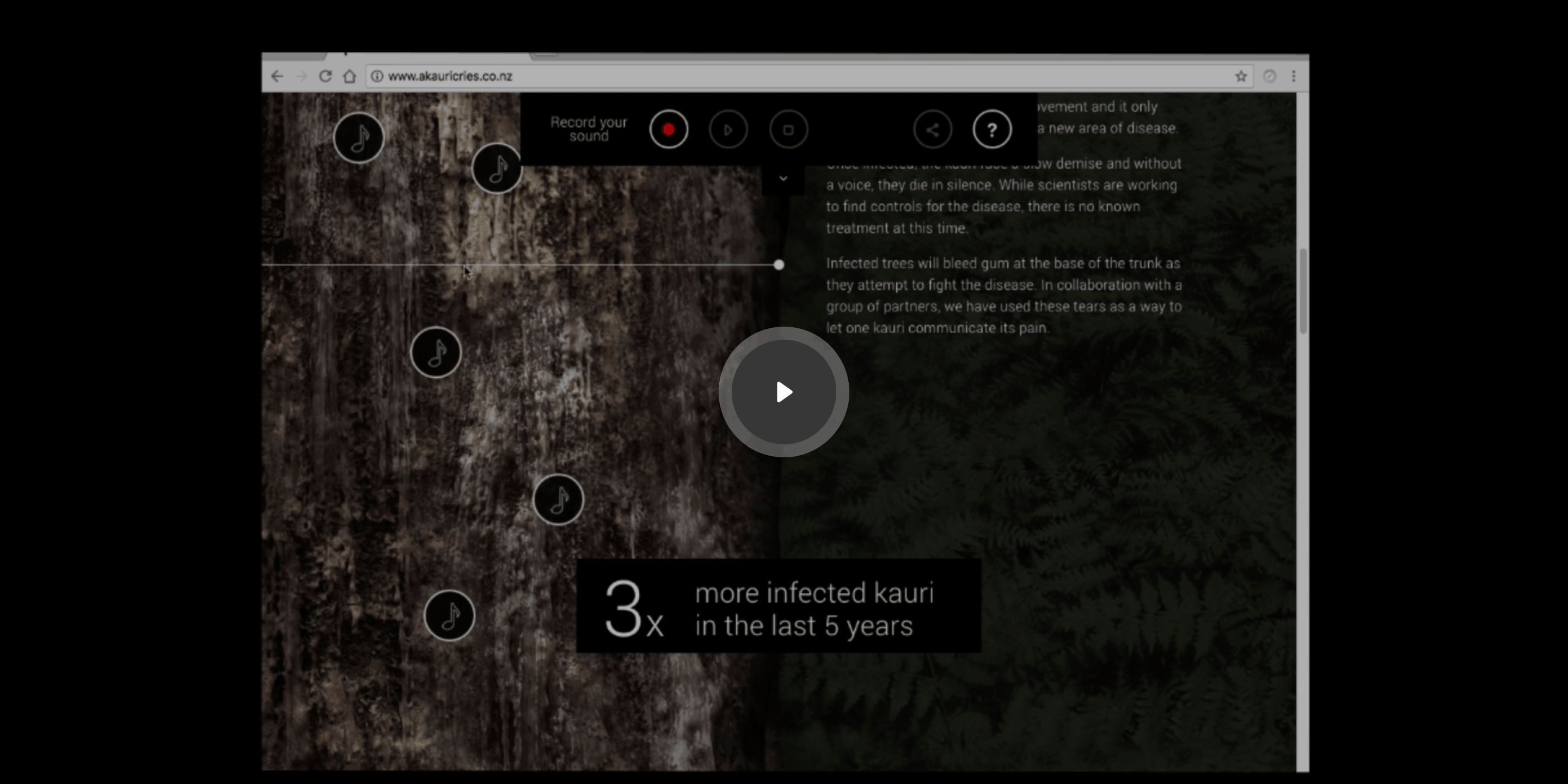 Play A Kauri Cries video 2