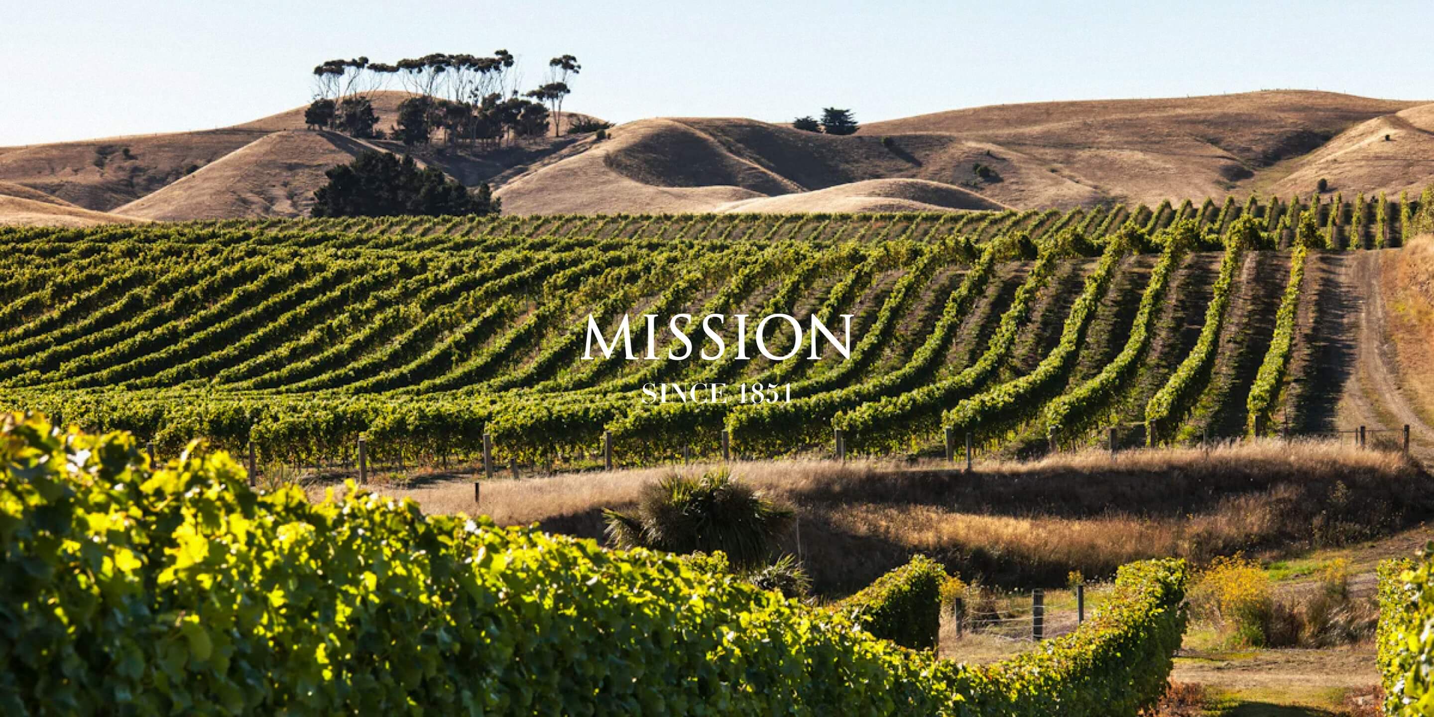 Mission Estate vineyard landscape