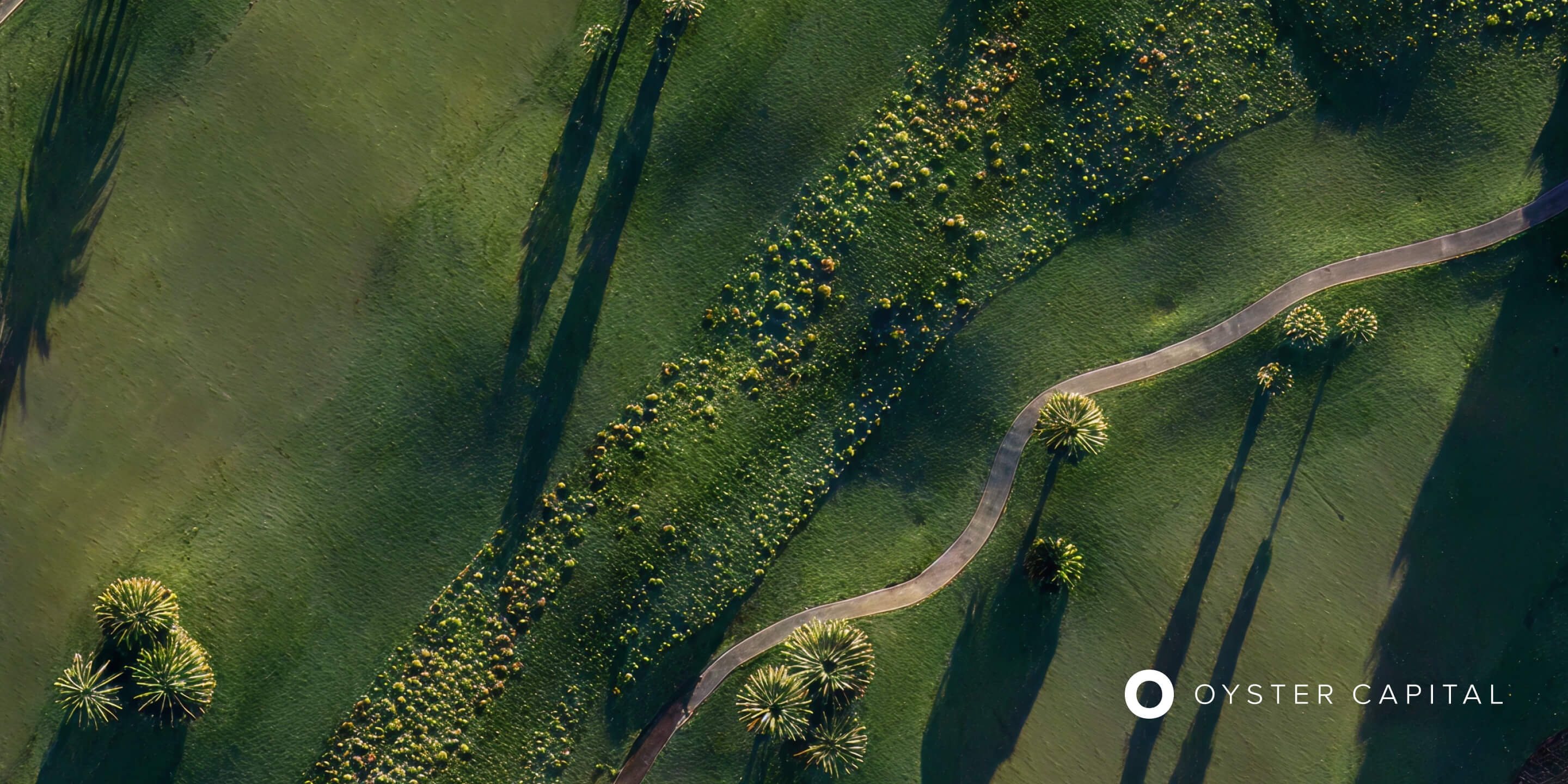 Aerial view of landscaped grounds with the Oyster Capital logo