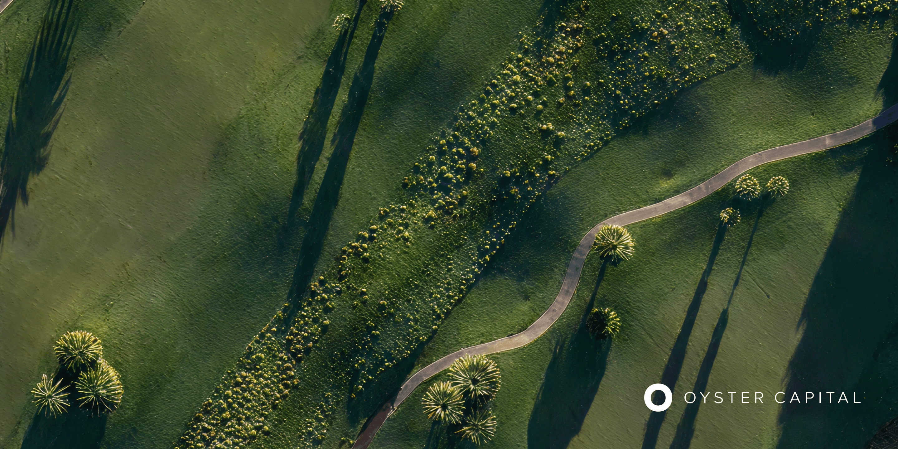 Oyster Capital project visual 3