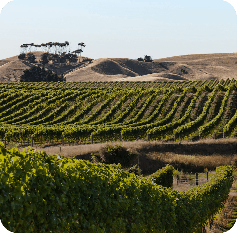 Mission Estate project thumbnail